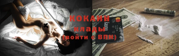 дживик Горняк