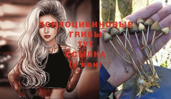 таблы Горнозаводск
