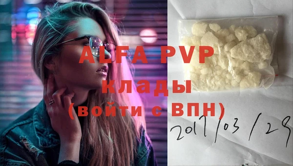 дживик Горняк