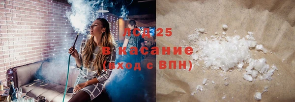 дживик Горняк