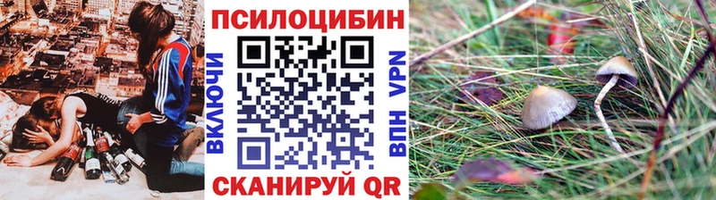 Купить  Лесной  Галлюциногенные грибы ЛСД 